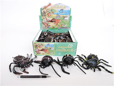 AST. PAJĄK x 24  miękki, z groszkiem, 4 wz. displ.