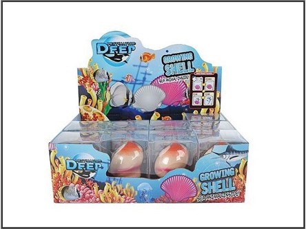 MUSZLA x 12 z zwierzętami, rosnące, 6 cm,   displ.