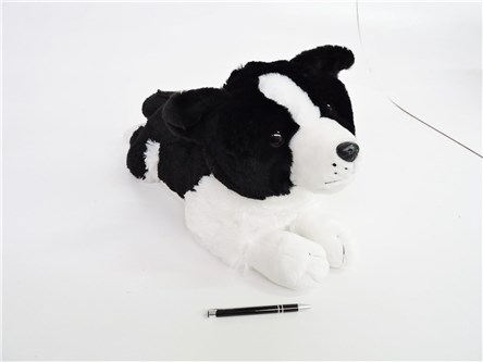 *PLUSZ PIES Border Collie, 60 cm, leżący