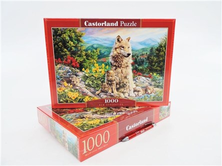 *CAS. PUZZLE 1000 el. Nowe pokolenie