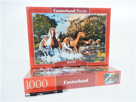 *CAS. PUZZLE 1000 el. Kraina czarów koni