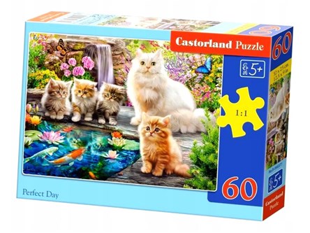 CAS. PUZZLE 60 el. Perfect Day, koty
