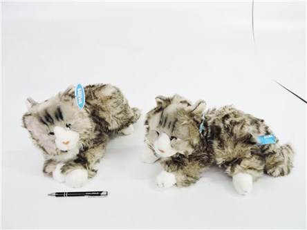 *PLUSZ kot, 30 cm,  norweski, leżący