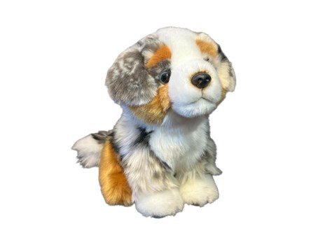 PLUSZ Pies australijski 19 cm