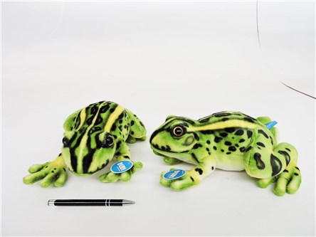 PLUSZ żaba, 28 cm, zielona