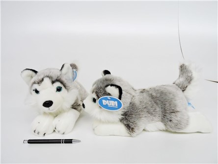 *PLUSZ pies, 34 cm, Husky, leżący