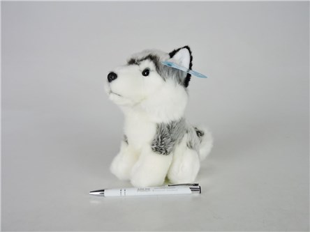 *PLUSZ pies, 19 cm, husky