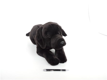 *PLUSZ pies labrador czarny, 61 cm UNITOYS