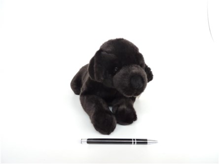 PLUSZ pies labrador czarny, 40 cm UNITOYS