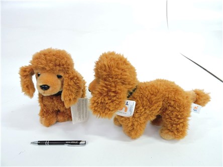 PLUSZ pies pudel, brązowy, 30 cm, ze smyczą