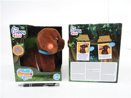 PUPPY LUV inter., piesek, JUNIOR BRUNO