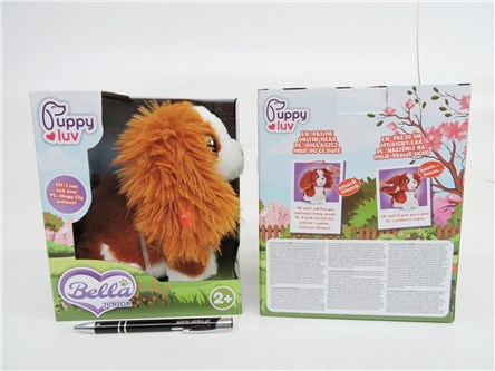 PUPPY LUV inter., piesek, JUNIOR BELLA