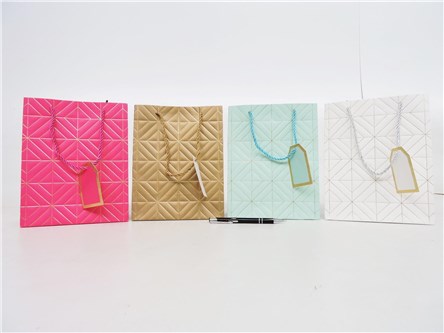 AST. TORBA x 12 PREZENT, 24x18x10 cm wzo przestrz.